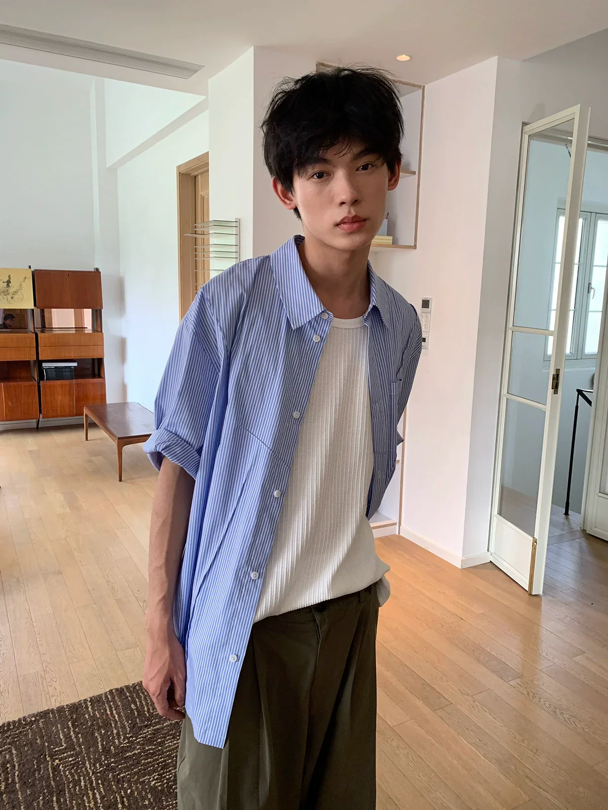 Blue Pinstripe Panel Short-Sleeve Shirt - Image 4