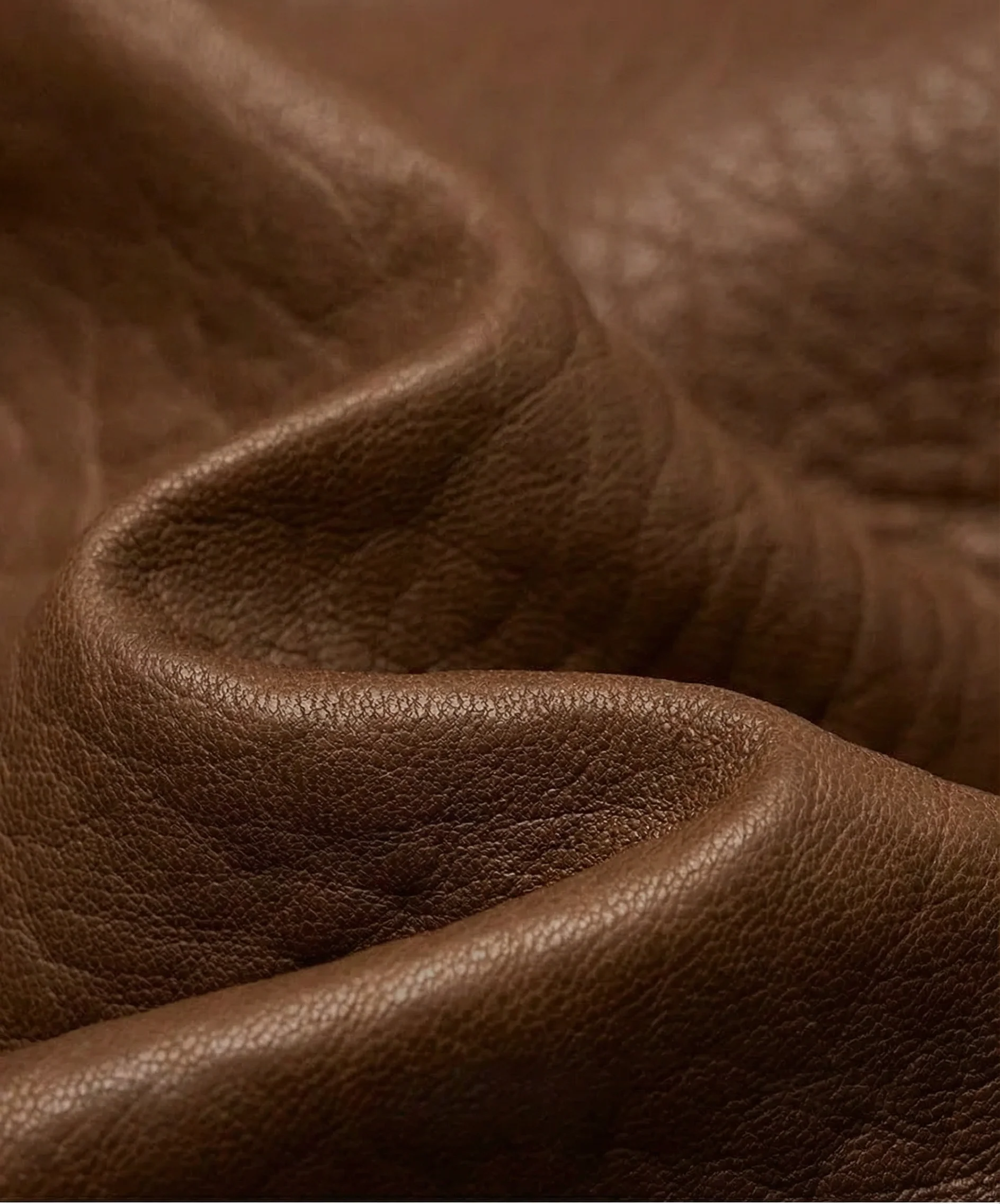 Brown Leather Zip Jacket - Image 5
