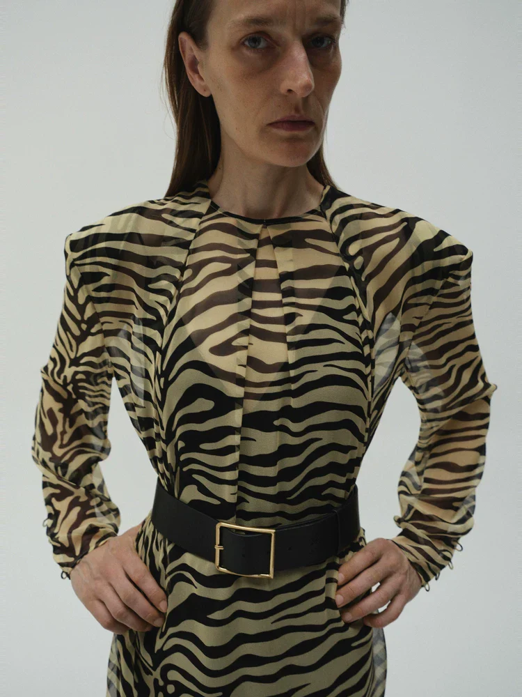 Mulberry Silk Zebra Print Sheer Dress - Image 4