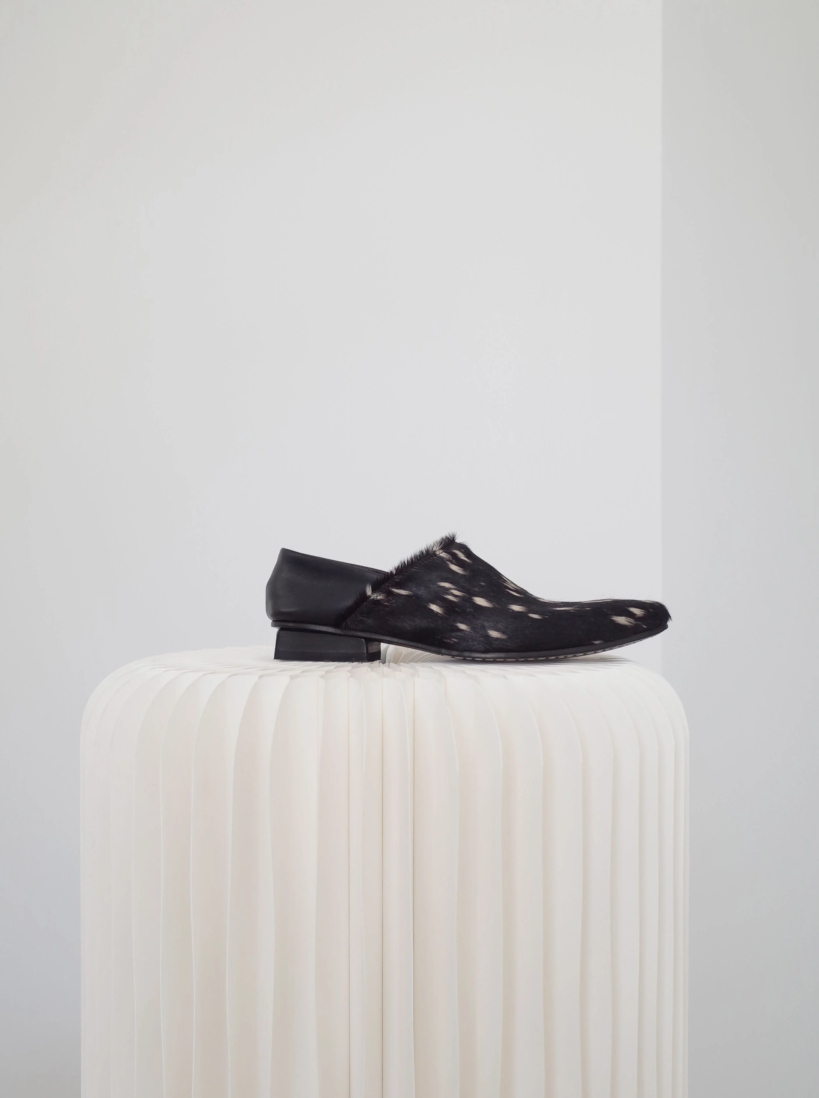 Two-Way Pointed Shoes - Image 3